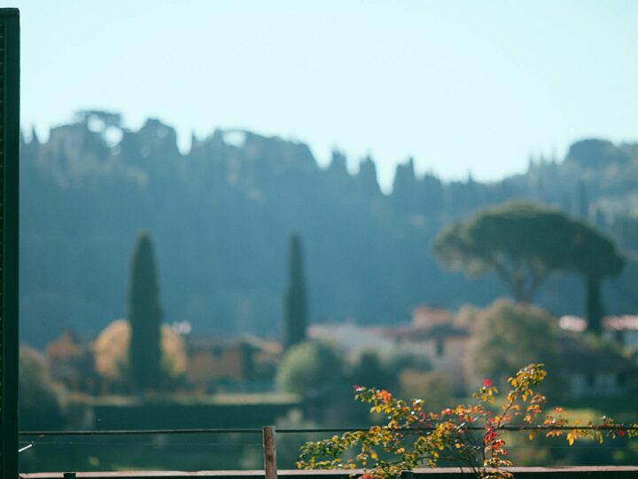 Magico Parco Land
